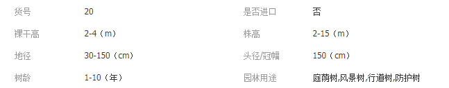 QQ截图20181229143450