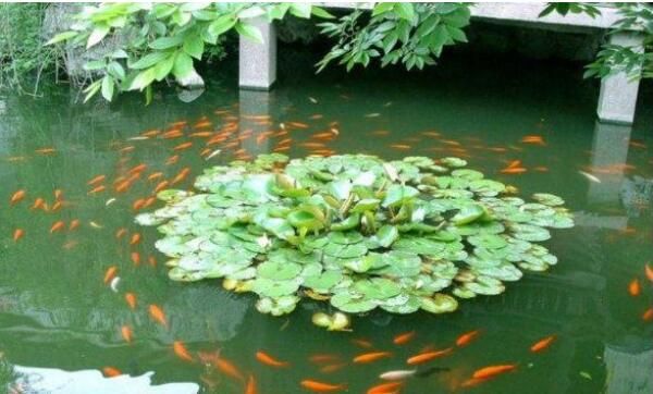 我國最小的園林就在蘇州！但是地位卻超高，還曾經(jīng)被美國人仿造！