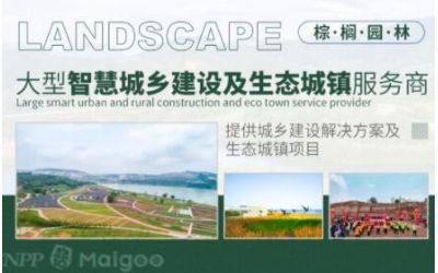 棕櫚生態城鎮發展股份有限公司