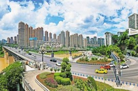 重慶日?qǐng)?bào)：園林藝術(shù)扮靚街頭