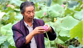 荷花大王陶德均：三十年執(zhí)著追求 只為荷花花開(kāi)盛世春色滿園