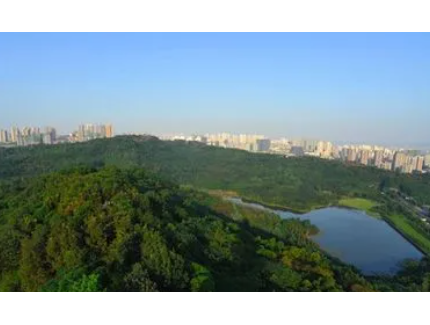 重慶市林業(yè)局會(huì)同重慶市生態(tài)環(huán)境局召開(kāi)自然保護(hù)地問(wèn)題整改現(xiàn)場(chǎng)核查情況匯報(bào)會(huì)